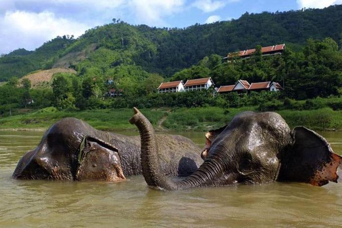 Inn Riverside Hostel Pb Muang Pakbèng Eksteriør bilde